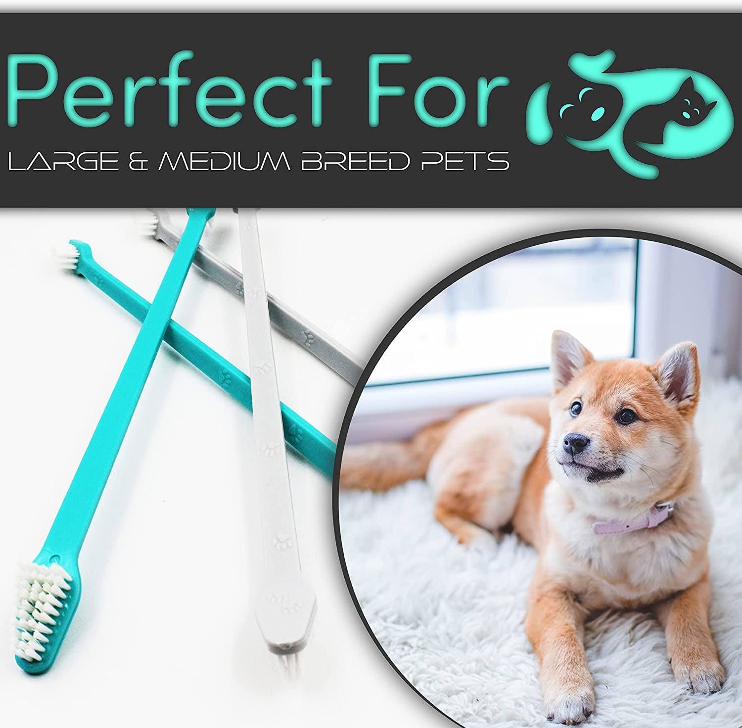 Dog Toothbrushes from Large to Small| Best Professional Dog Cat Toothbrush Series with Many Design & Size Options Breeds - 8 Count - Dual Head (Small/Large)