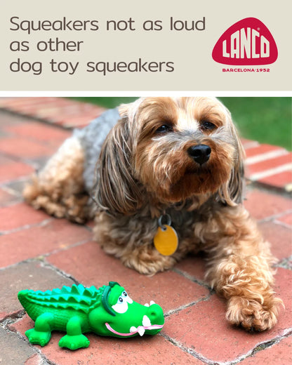 Alligator Sensory Squeaky Dog Toy Natural Rubber (Latex) Lead-Free Chemical-Free Complies to Same Safety Standards as Children S Toys Soft Squeaky (Small)